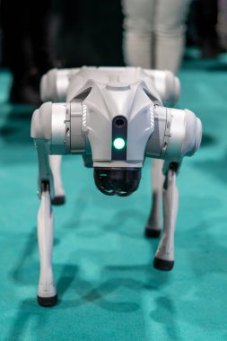 Gri askeri robot köpek yeşil arka planlı bir gösteride