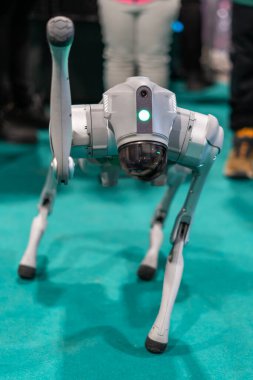 Gri askeri robot köpek yeşil arka planlı bir gösteride