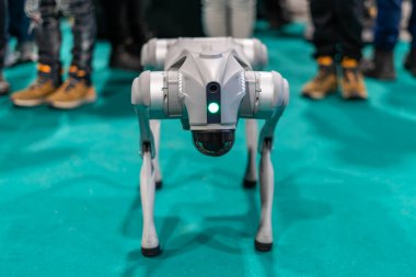 Gri askeri robot köpek yeşil arka planlı bir gösteride