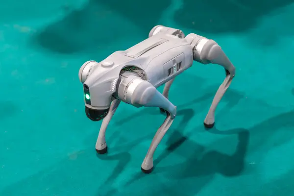Gri askeri robot köpek yeşil arka planlı bir gösteride