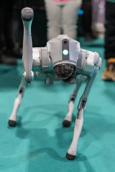Gri askeri robot köpek yeşil arka planlı bir gösteride