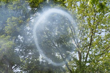 Ağaçların önünde uçan büyük duman çemberi