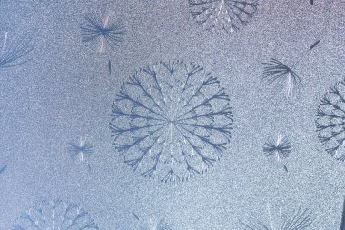 Karahindiba desenli folyo dokusu