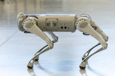 Gri askeri robot köpek gösteride