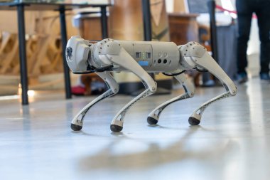 Gri askeri robot köpek gösteride
