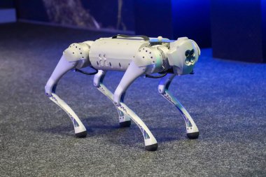 Gri askeri robot köpek gösteride