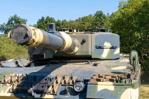 Modern Alman Leoparı 2A4 tank kamuflajla boyanmış.