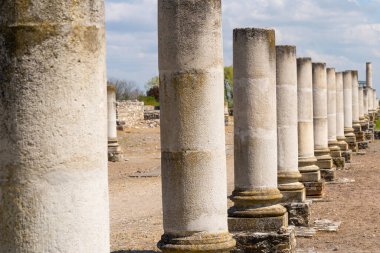 Sütunları olan antik bir Roma binasının kalıntıları