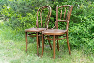 İki eski kahverengi tanga sandalyesi yeşil çalıların önünde çimlerde