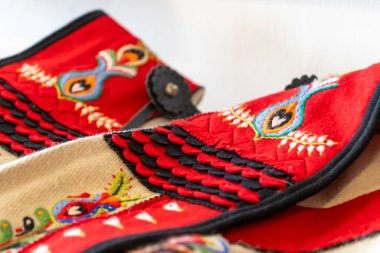 Renkli işlemeli Macar folklor kumaşı.