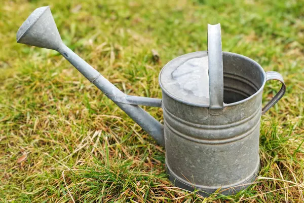 Çimlerdeki eski metal sulama tenekesi