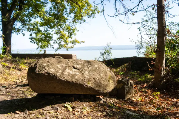 Gölün yakınındaki ormanda büyük yosun taşı