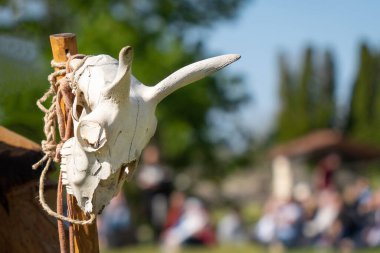 Koyun kafalı bir şaman asası.