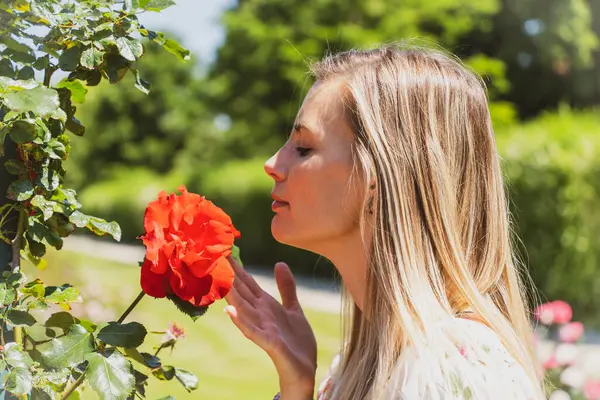 Sarışın kadın bahçede açan kırmızı bir gülün kokusunun tadını çıkarıyor.