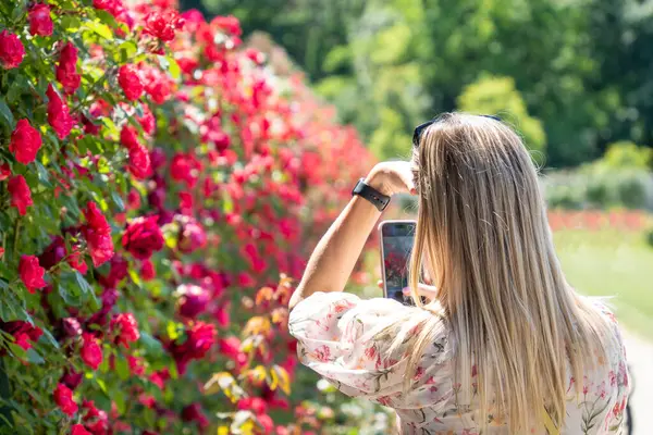 Çiçek açan güllerin arasında akıllı telefonlu sarışın kadın