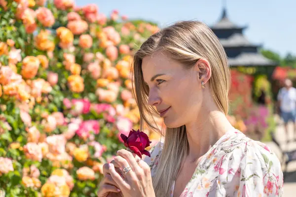 Elinde kırmızı gül olan sarışın bir kadın bahçede çiçek açan güllerin tadını çıkarıyor.