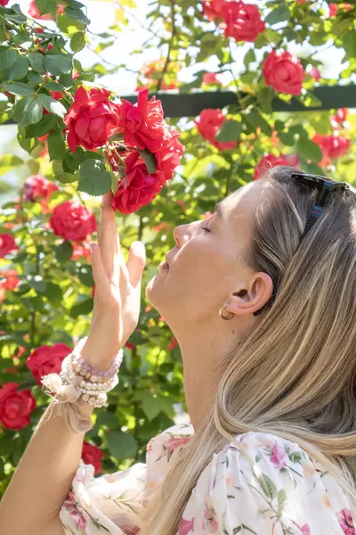Elinde kırmızı gül olan sarışın bir kadın bahçede çiçek açan güllerin tadını çıkarıyor.