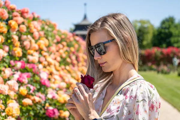 Elinde kırmızı gül olan sarışın bir kadın bahçede çiçek açan güllerin tadını çıkarıyor.