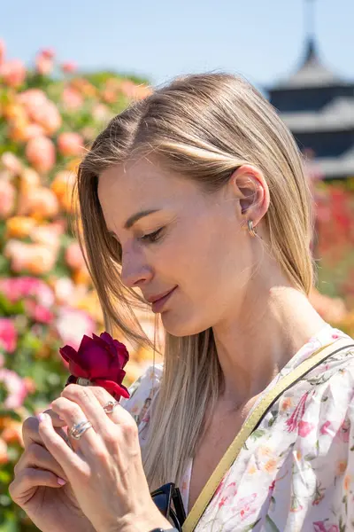 Elinde kırmızı gül olan sarışın bir kadın bahçede çiçek açan güllerin tadını çıkarıyor.