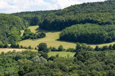 Yamaçtaki ormanlarla çevrili yeşil çayır.