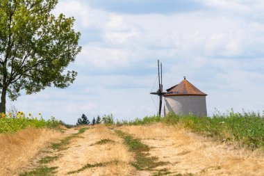 Ufukta eski bir yolun yanında eski bir yel değirmeni ve arkasında bulutlu mavi bir gökyüzü olan bir ağaç.