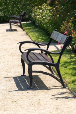 Güneşli bir parkta parlak renkli güllerle kaplı bir yolun yanındaki banklar.