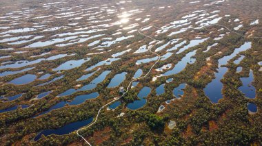 Kıvrımlı Yol ve Yansıtıcı Su Vücutları ile Sulak Arazi Hava Görünümü