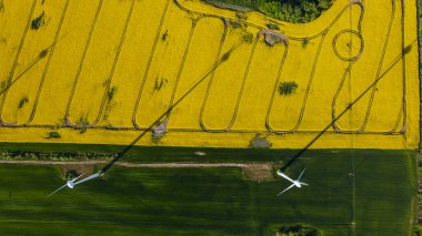 Rüzgâr Türbinlerinin Hava Görüntüsü Tarlaların Üzerine Uzun Gölgeler Döküyor