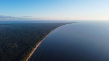 Denizle Buluşma Sahil Ormanının Geniş Hava Görüntüsü