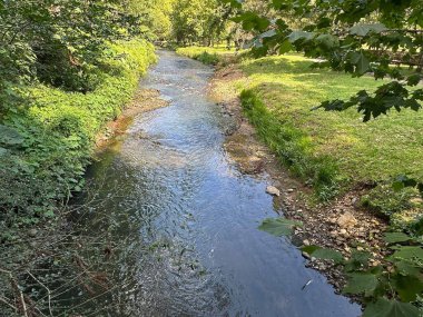 Bereketli yeşil bir arazide, yoğun yapraklar ve çimenli bir bankayla çevrili huzurlu bir dere dolaşır. Güneş ışığı ağaçların arasından süzülür, suyun pürüzsüz yüzeyine yansımalar yapar, huzuru ve doğayı somutlaştırır..