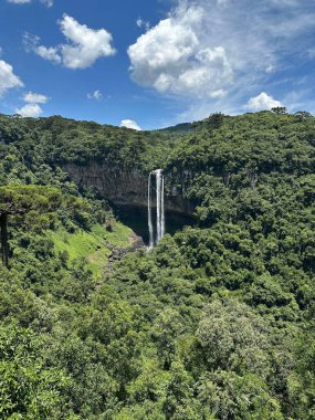 Yüksek bir şelalenin göz kamaştırıcı görüntüsü kayalık bir uçurumun üzerinden yuvarlanıyor yoğun, canlı yeşil ormanlarla çevrili berrak mavi bir gökyüzünün altında tüylü beyaz bulutlarla..