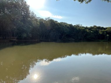 Sakin sularla çevrili sakin bir göl manzarası yoğun ormanı ve parlak mavi gökyüzünü yansıtıyor, doğal bir çevrede huzur ve sükunet hissi uyandırıyor..