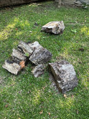 Bölünmüş odun parçaları canlı çimlerle çevrili yemyeşil çimlere saçılmış, kırsal yaşam tarzı ve açık hava sadeliğini aktarıyor, sıcaklık ve kırsal dekor için mükemmel..