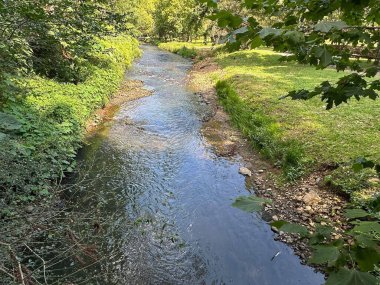 Bereketli yeşil bir arazide, yoğun yapraklar ve çimenli bir bankayla çevrili huzurlu bir dere dolaşır. Güneş ışığı ağaçların arasından süzülür, suyun pürüzsüz yüzeyine yansımalar yapar, huzuru ve doğayı somutlaştırır..