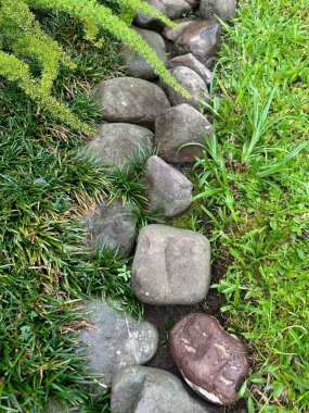 Doğal taşlarla çevrili sakin bir bahçe yolu, yemyeşil çimenler ve yoğun bitki örtüsüyle çevrili, sakin ve davetkar bir atmosfer yaratıyor..