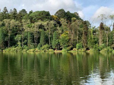 Yoğun, yeşil bir ormanın sakin, bulutlu bir gökyüzünün altında berrak bir gölün yüzeyine yansıyan sakin manzarası huzur ve doğal güzelliği çağrıştırıyor..