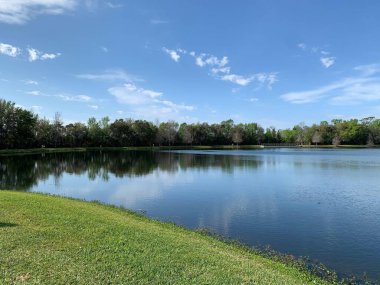 Berrak mavi gökyüzünün altında, yeşil çimenler ve ağaçlarla çevrili sakin bir göl manzarası manzaranın huzurlu güzelliğini ve barışçıl doğayı simgeliyor..