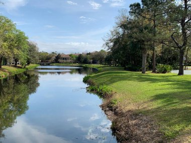 Sakin suların olduğu sakin bir nehir manzarası mavi gökyüzünü ve etrafındaki ağaçları yansıtıyor. Bereketli yeşil çimenler ve ağaçlar manzaranın barışçıl ve doğal atmosferine eklenir..