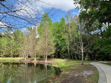 Durgun bir gölü olan sakin bir park sahnesi çevresindeki yemyeşil ağaçları ve yukarıdaki açık mavi gökyüzünü yansıtıyor. Sarmal bir patika, canlı yaprakların arasından geçiyor, sakin yürüyüşleri davet ediyor..