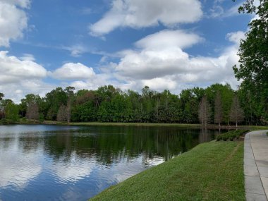 Ormanda dingin bir göl pofuduk beyaz bulutları ve mavi gökyüzünü yansıtıyor, yemyeşil ağaçlar ve sakin sularla çevrili, yanında çimenli bir yol, huzurlu bir çevre yaratıyor..
