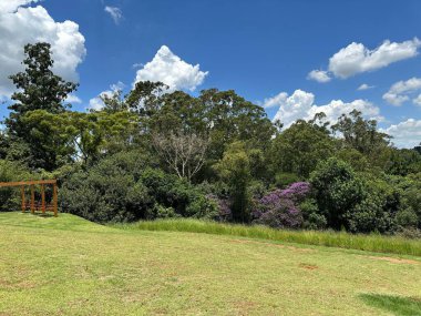 Parlak mavi bir gökyüzünün altında, gür yeşil çimlerle kaplı geniş bir bahçe parkı, kabarık bulutlu çeşitli ağaçlar. Huzurlu bir doğal ortam, rahatlama ve açık hava aktiviteleri için ideal..
