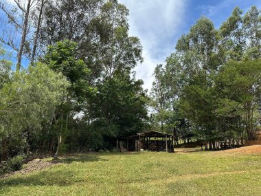 Bereketli bir orman manzarasına yuva yapmış, kırsal ahşap bir barakanın olduğu sakin bir manzara. Uzun ağaçlar ve çimenli bir düzlükle çevrili bu görüntü güneşli bir günde huzur ve doğal güzelliği yansıtıyor..