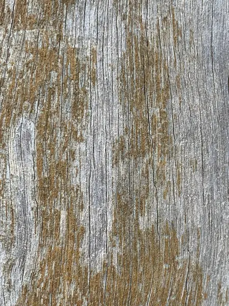 Yakın plan bir görüntü, yaşlı ahşabın zengin dokusunu gözler önüne seriyor, çatlaklar, pürüzler, kahverengi ve gri lekeler doğal güzelliğini vurguluyor..