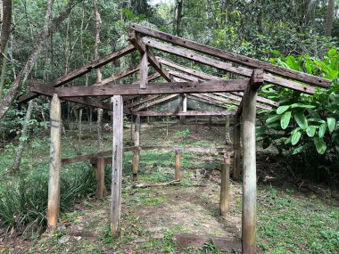 Tropikal bir ormanın yoğun bitki örtüsünün ortasında eski, yarı tahtadan bir yapı. Çatı kısmen çökmüş durumda. Etrafında tahtalar ve yeşil yapraklar var. Terk edilmişlik ve nostalji hissi uyandırıyor..
