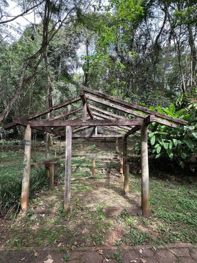 Çöken bir çatısı olan eski bir ahşap yapı, ormanın yoğun, yemyeşil bitkileriyle çevrili. Sahne, terk edilme ve doğayla yeniden bağ kurma hissi veriyor..