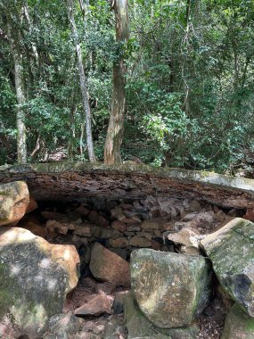 Yağmur ormanlarında sakin bir manzara. Büyük bir taş diğer kayaların üzerinde duruyor ve doğal bir sığınak oluşturuyor. Güneş ışığı yeşil yaprakların arasından süzülür, doğanın dingin güzelliğini ve huzur duygusunu vurgular..