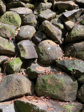 Yosun kaplı taşlardan oluşan bir duvar doğal, kırsal bir görünüm yaratır. Güneş ışığı taşları aydınlatır, dokularını ve toprak renklerini güçlendirir. Kurumuş yapraklar ve çevreleyen bitki örtüsü doğanın ve huzurun hissini güçlendirir..