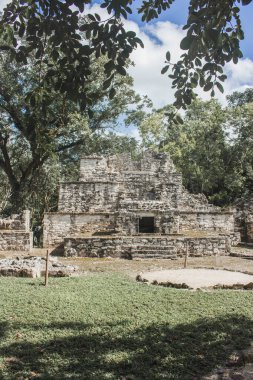 Tulum, Quintana Roo, Meksika 'da, antik uygarlığın geride bıraktığı Maya kalıntılarının bir parçası olarak ağaçların arasında eski bir taş bina saklanıyor..