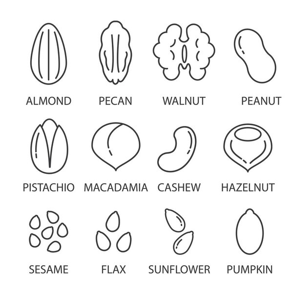 Орехи и семена иконка набор. Иконки линий карикатуры, изолированная векторная иллюстрация.
