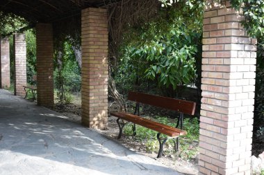 Atina Ulusal Bahçesi, Yunanistan: Nisan 2025. Syntagma Meydanı yakınlarındaki Atina şehir merkezindeki bir halk parkı. Bankta ve parktaki ağaçlarda. Parkta yalnız bank, yalnızlık..